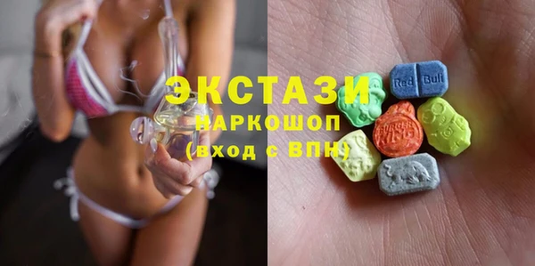 амф Ельня