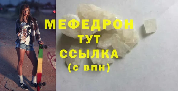амф Ельня