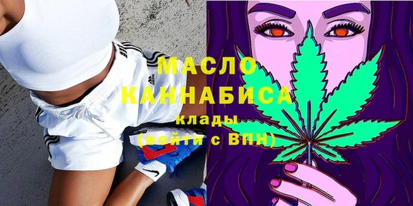 амф Ельня