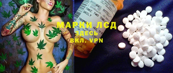амф Ельня
