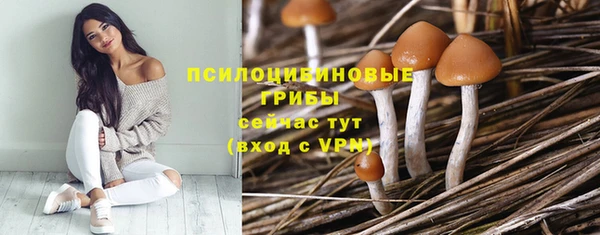 амф Ельня