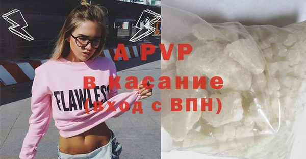 амф Ельня