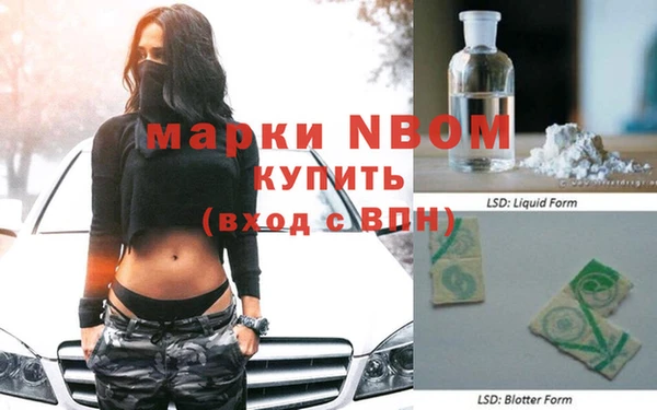 амф Ельня