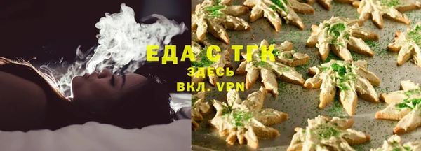 амф Ельня