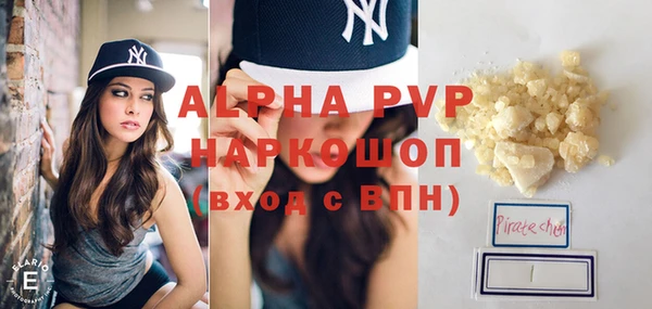 амф Ельня