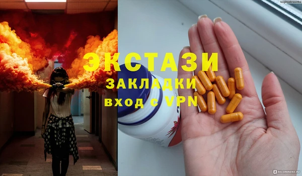 амф Ельня