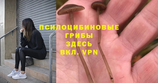 амф Ельня
